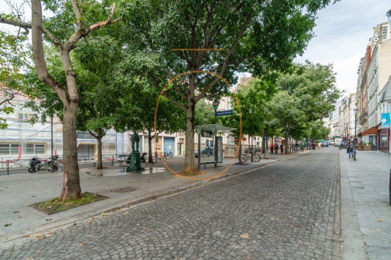 DSC02544-HDR